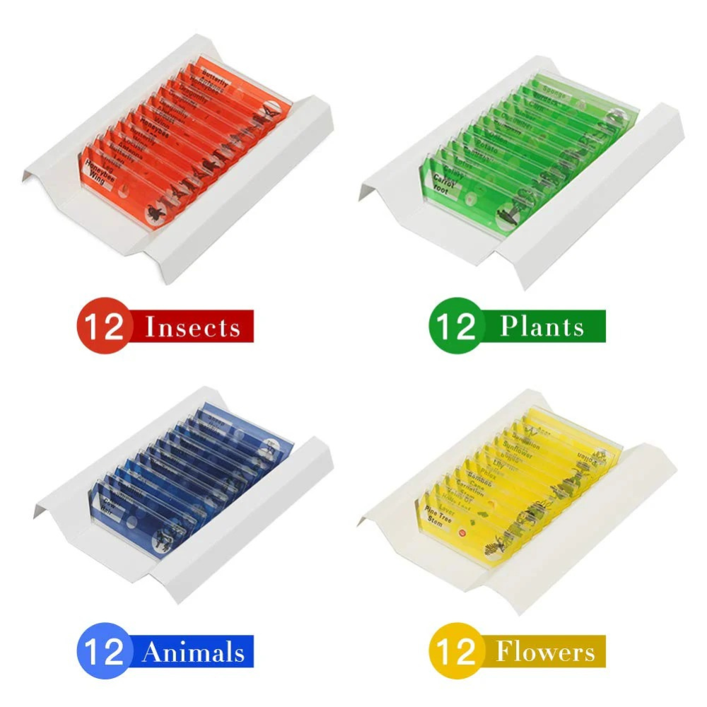 Complete Microscope Slide Set (48 pcs)