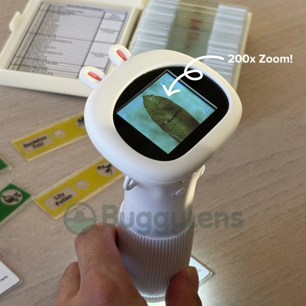 The DigiScope™