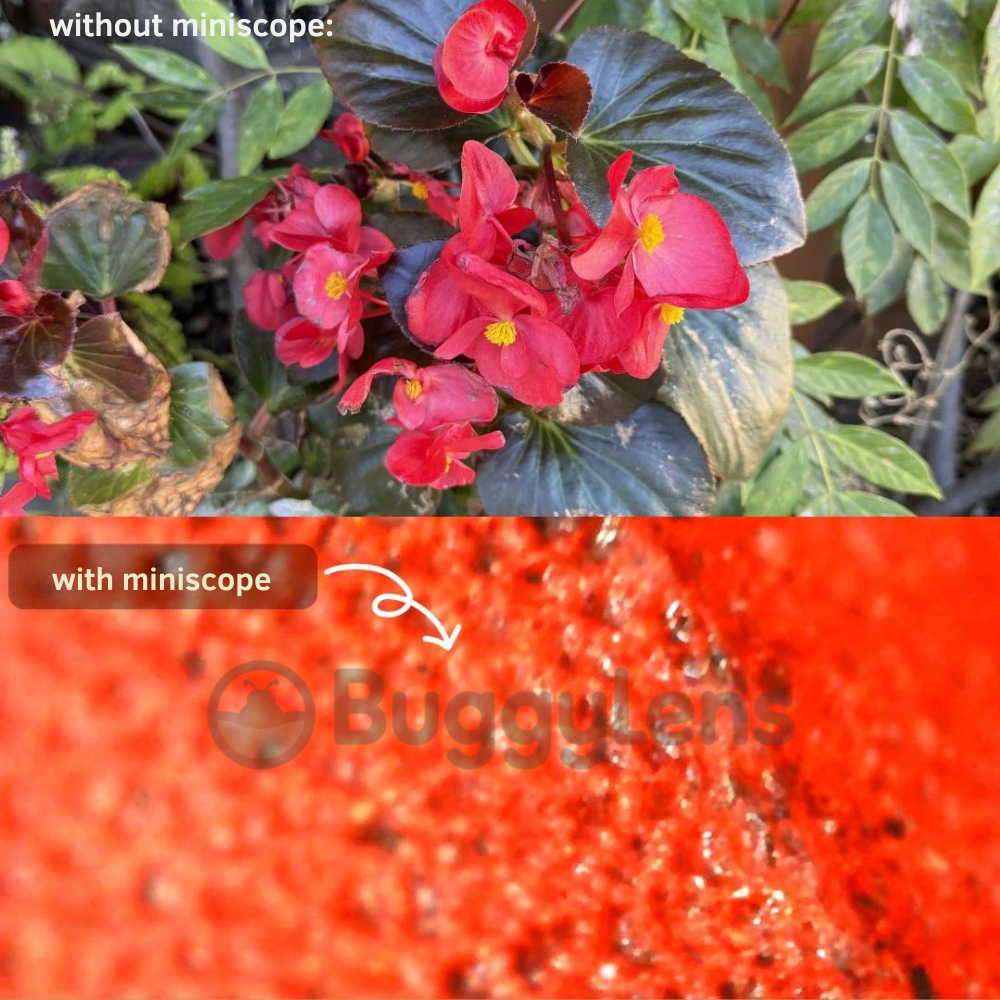 The DigiScope™