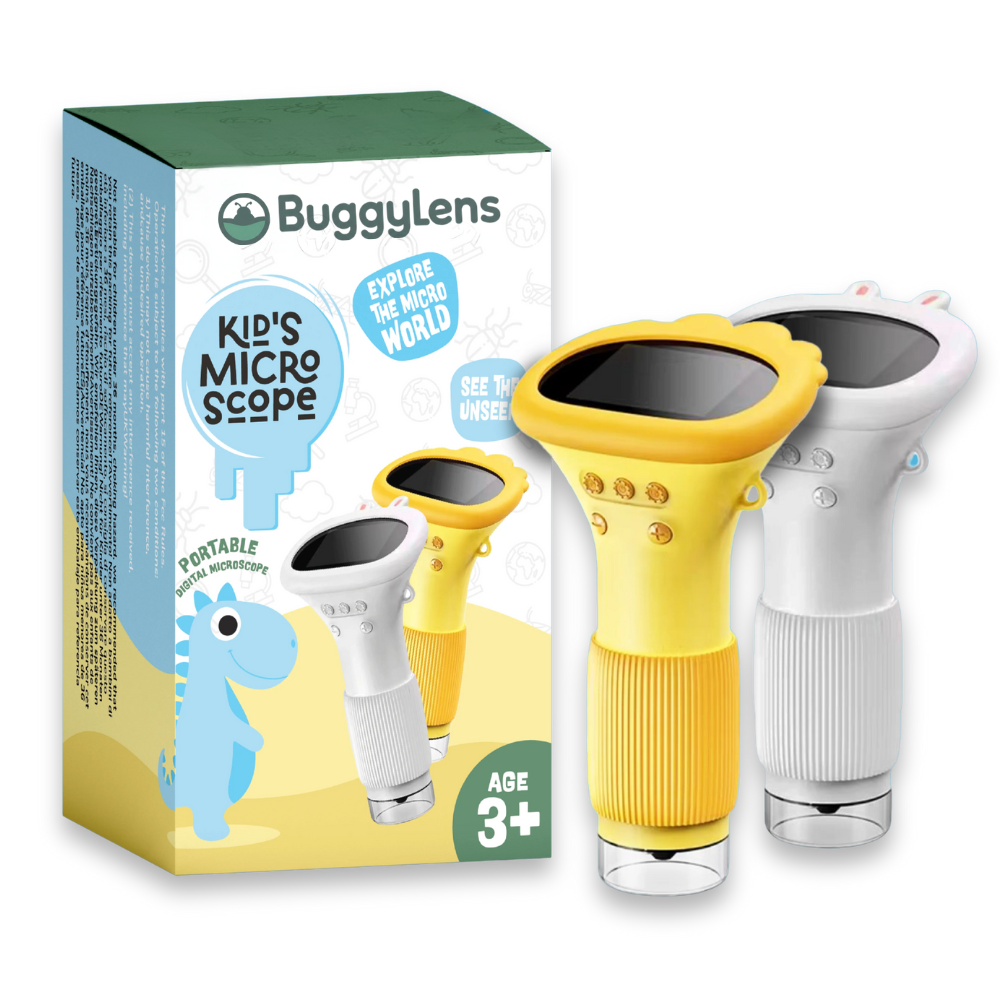 BUGGY-LENS-BANNER.png__PID:6dab7598-9896-4e11-a586-7d3b77cd5cd7
