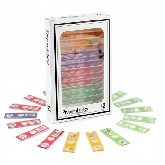 The BuggyLens Collections